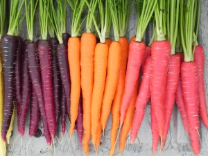 carrot-nutri-red-sugarsnax-purplesnax